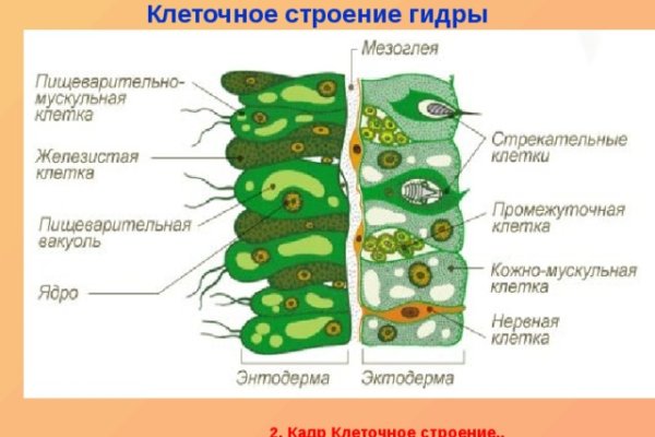 Kraken зеркало даркнет